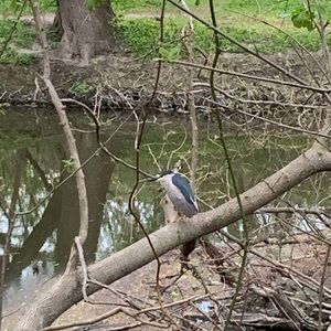 Meet your Posher, Jean